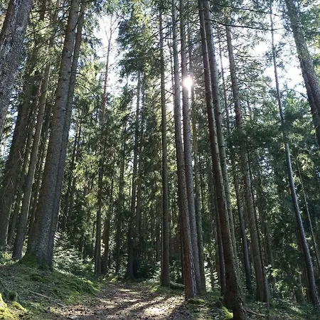 Brentenholz Nachhaltig&naturnah Appartement *