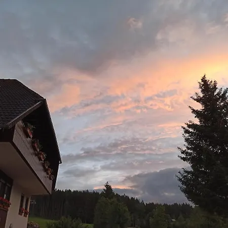 Brentenholz Nachhaltig&naturnah * Brigach